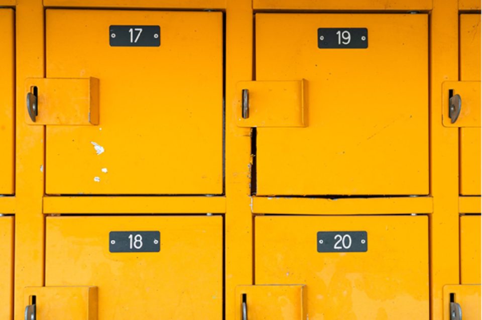 Why Should I Use Plastic Lockers for My Storage Facility
